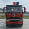 Sany Palfinger SPS30000 Sany Truck-Mounted Crane with Shacman 6X4 Chassis